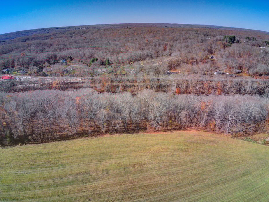 115 River Road Photo 6