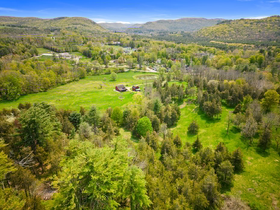 18 Brewster Road Photo 38