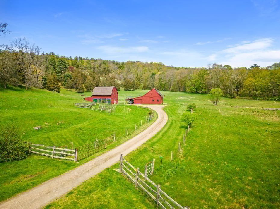 18 Brewster Road Photo 30