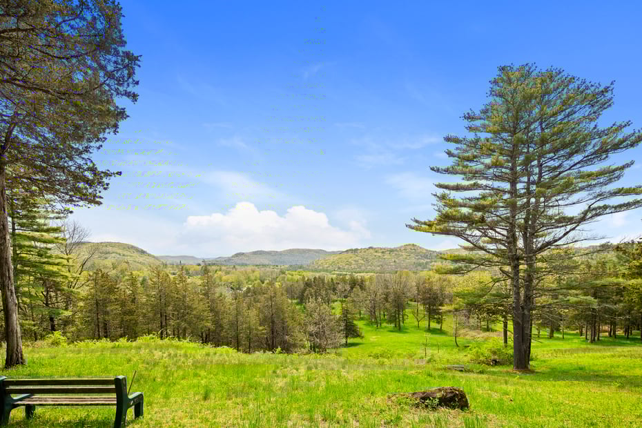 18 Brewster Road Photo 29