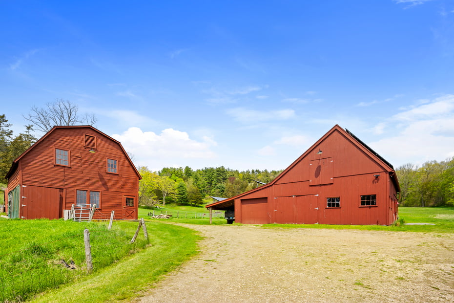 18 Brewster Road Photo 37