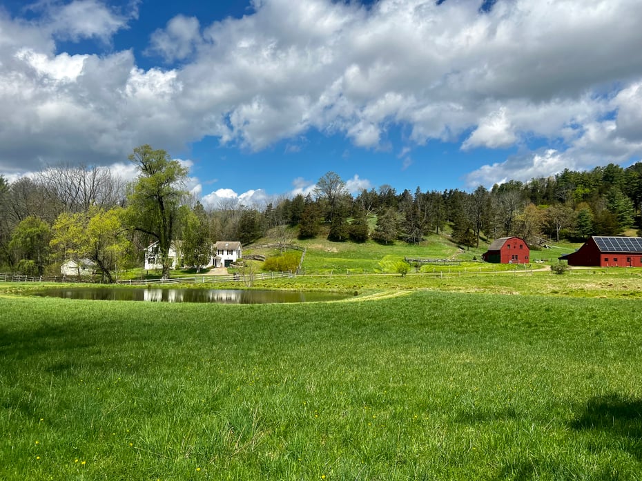 18 Brewster Road Photo 2