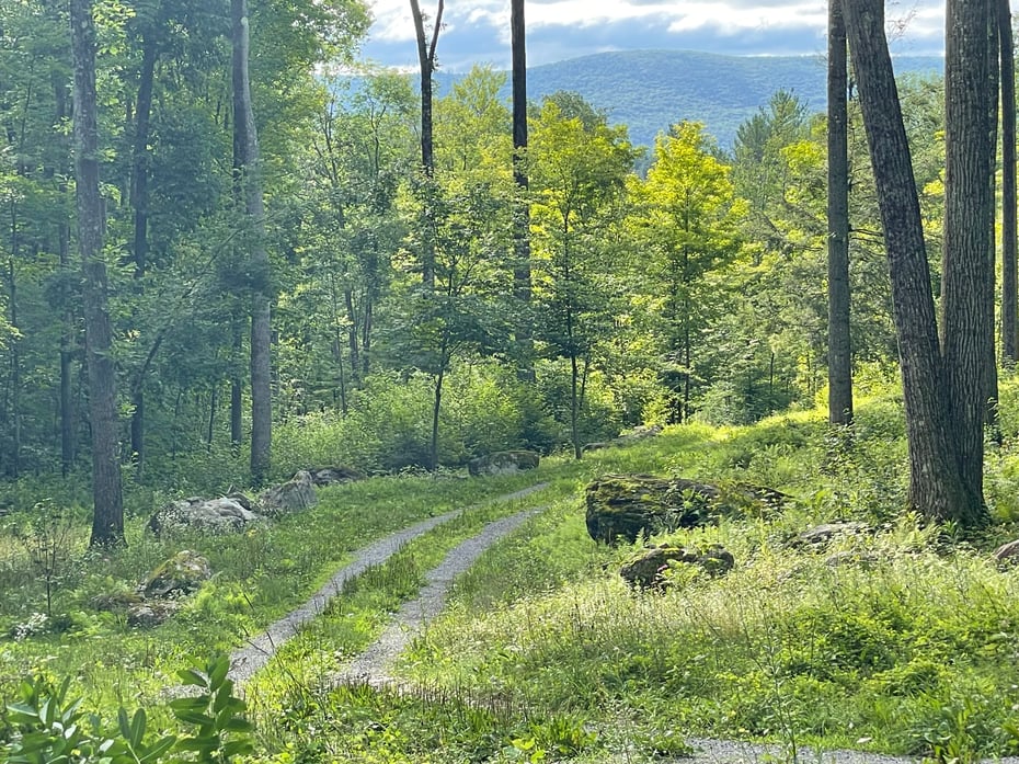 12 Stone Ridge Rd Photo 16