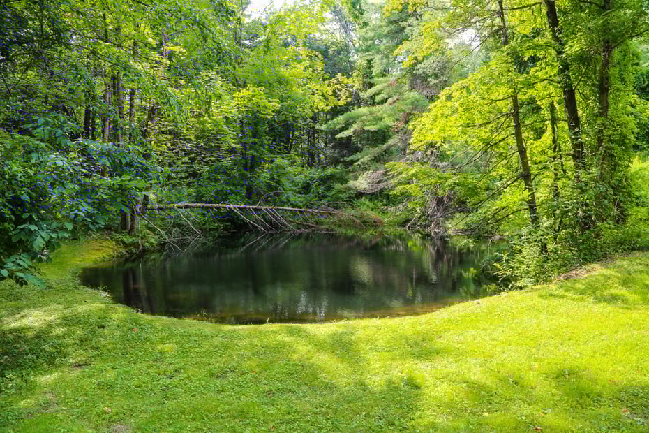 369 Bullitt Rd Photo 4