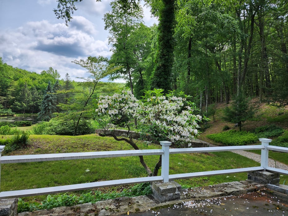 120 Pine Mountain Road Photo 35