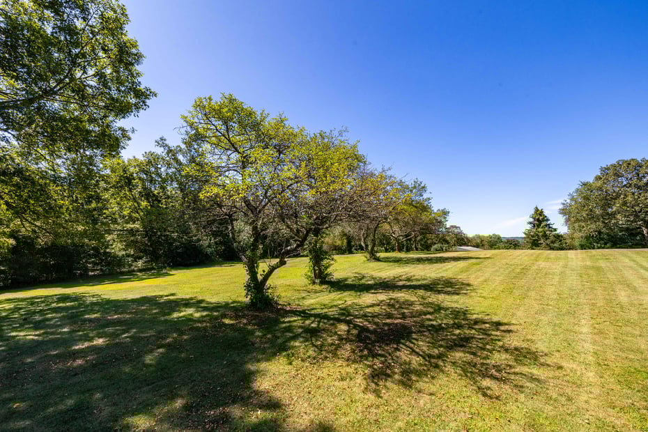366 Litchfield Road Photo 26