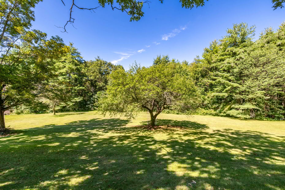 366 Litchfield Road Photo 7