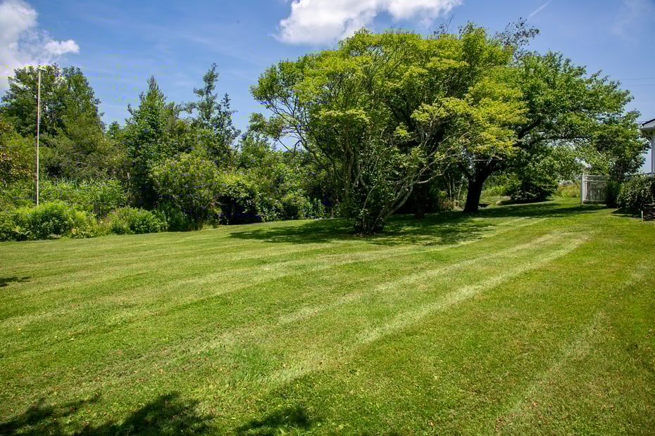 84 Bunker Hill Road Photo 3