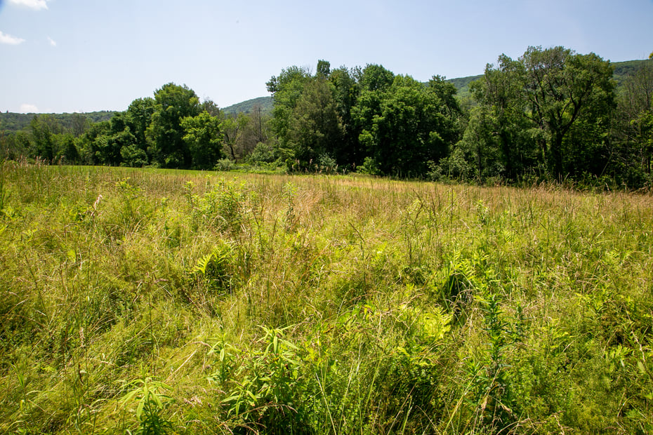 84 Bunker Hill Road Photo 26