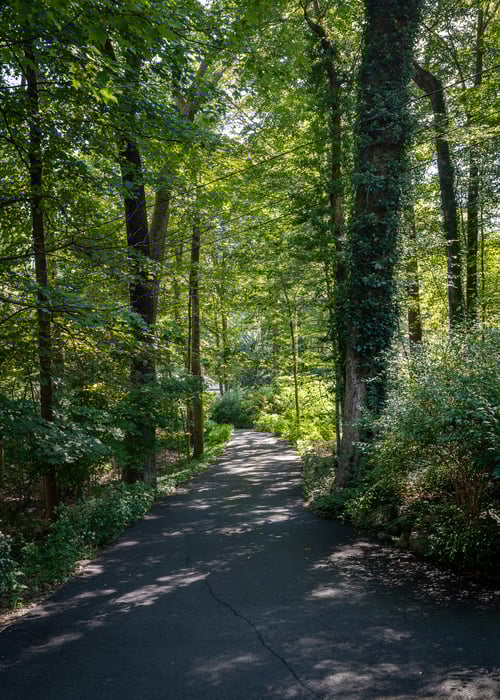 24 Twin Hills Road Photo 47