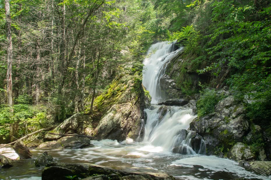 0 Norfolk & Campbell Falls Rd Photo 16