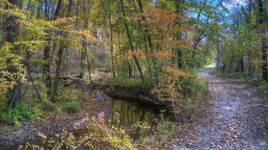 7 Old Road Photo 22