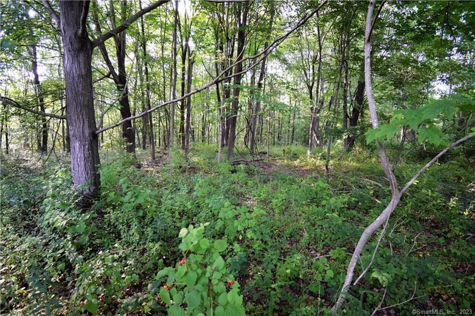 Lot #22 Kenneth Circle  #MAP #77 Photo 2