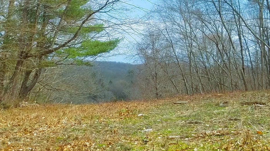600 Berkshire Road Photo 11