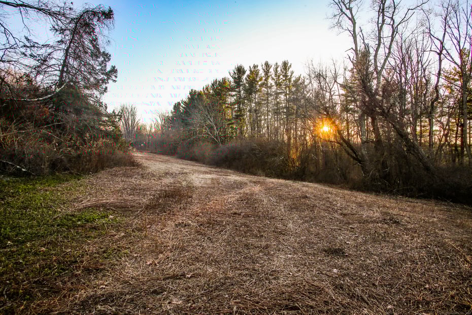145 Angevine Road Photo 2
