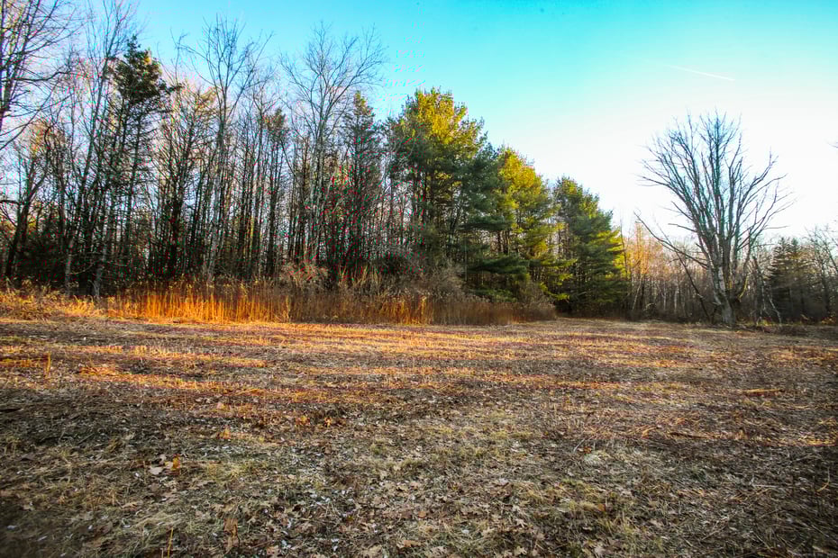 145 Angevine Road Photo 5