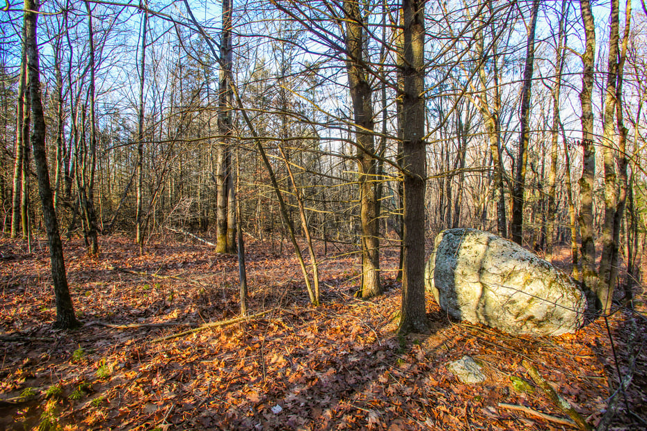 145 Angevine Road Photo 10