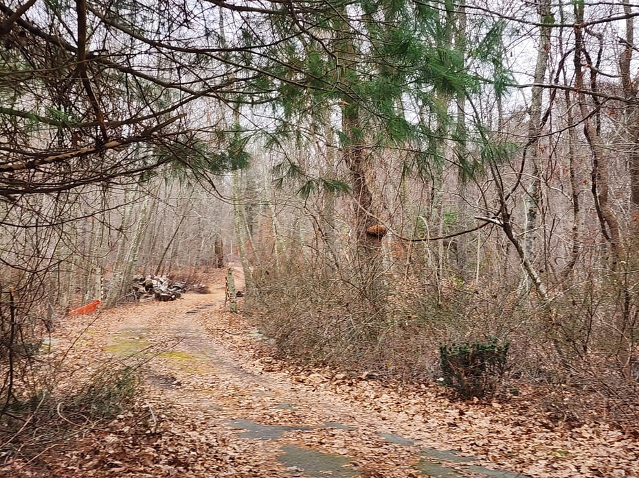 112 Pires Drive Photo 6