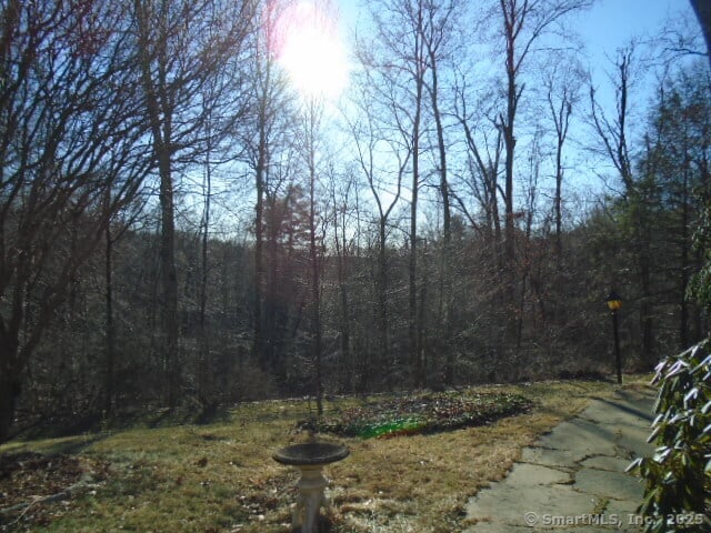 11 Timbercrest Drive Photo 39