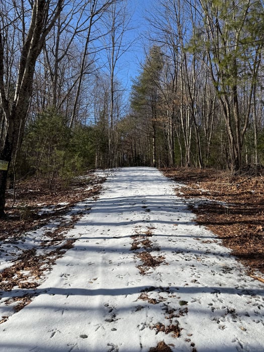 Nepaug Road Photo 1