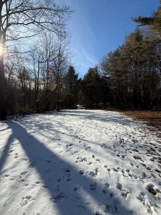 Nepaug Road Photo 3
