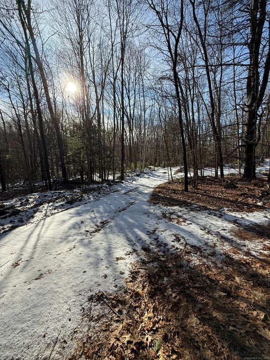 Nepaug Road Photo 4