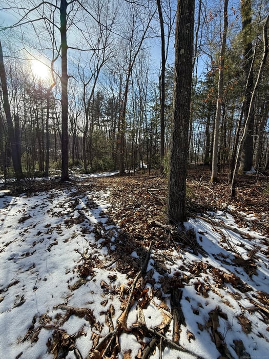 Nepaug Road Photo 5