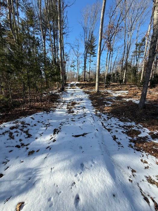 Nepaug Road Photo 6