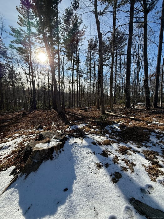 Nepaug Road Photo 7