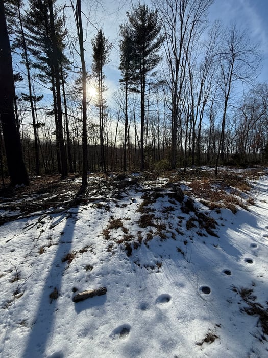 Nepaug Road Photo 9