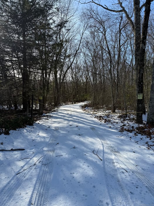 Nepaug Road Photo 10