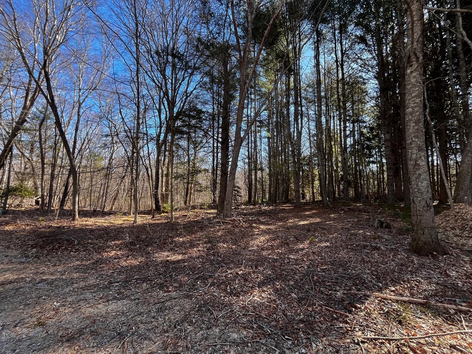 41-1 Whippoorwill Road Photo 2