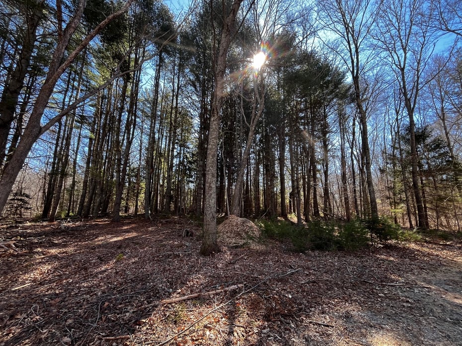 41-1 Whippoorwill Road Photo 3