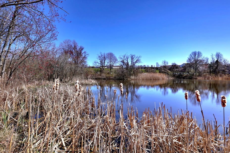 284 Racebrook Road Photo 21