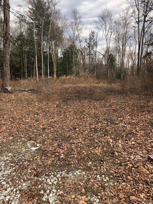 Winsted - Norfolk Road Photo 3