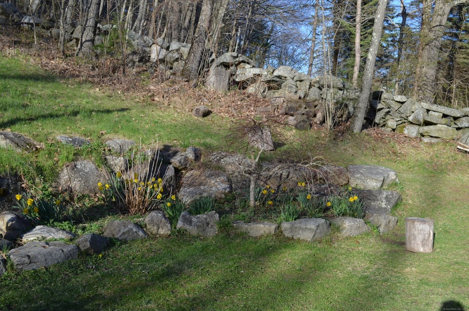 49 Colebrook Road Photo 37