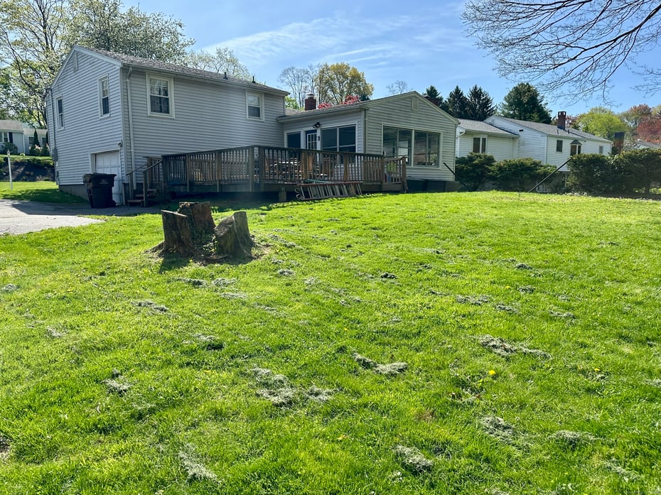 76 Chidsey Drive Photo 28