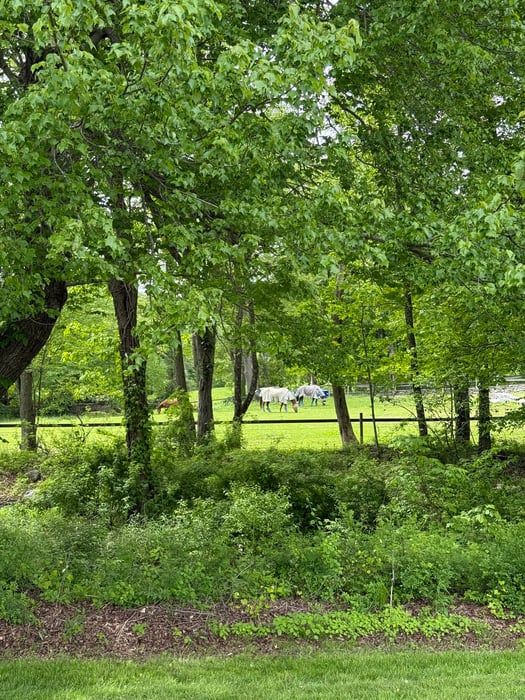 215 Blueberry Hill Road Photo 3