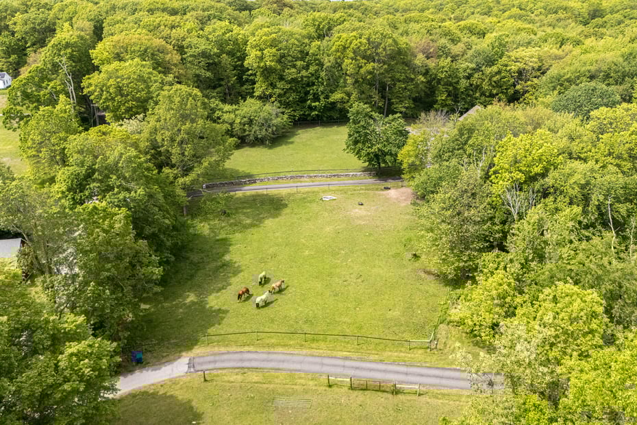 215 Blueberry Hill Road Photo 32