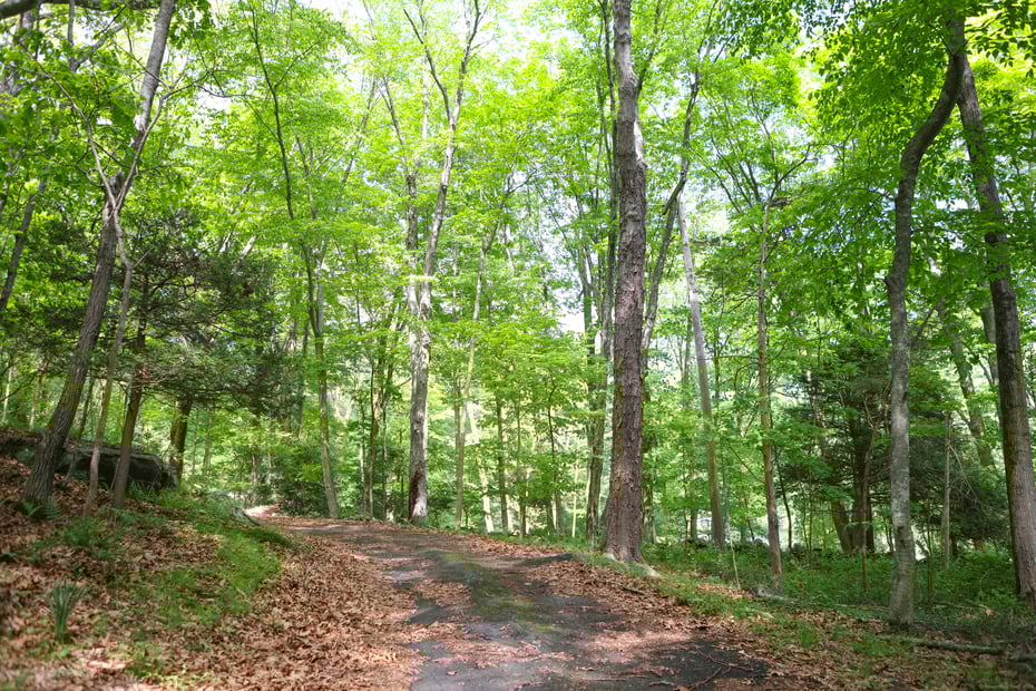 134 Meadow Woods Road Photo 15