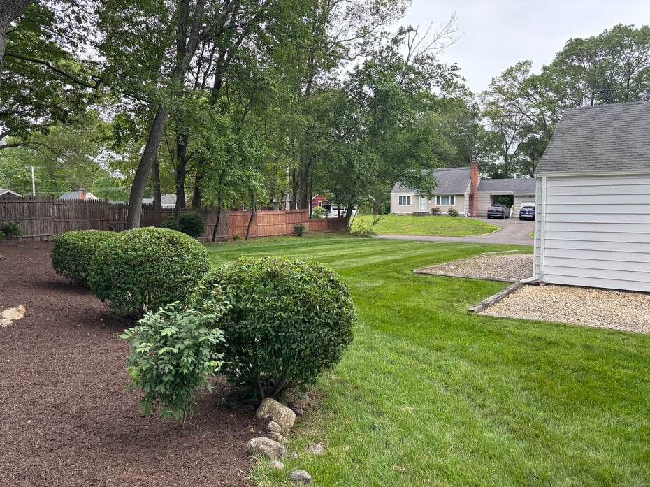 110 Cottage Street Photo 4
