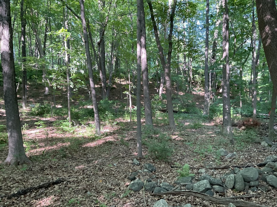 176 Picketts Ridge Road Photo 2