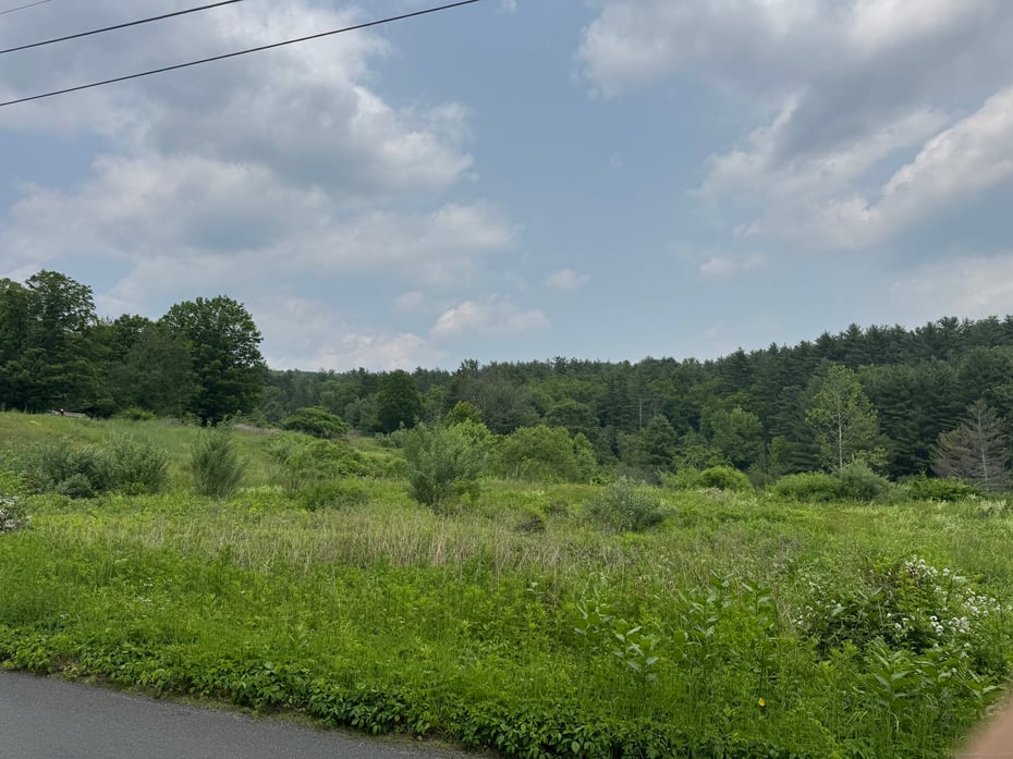 82 Riverton Road Photo 5