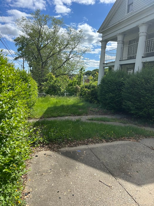 36 Boswell Avenue Photo 2