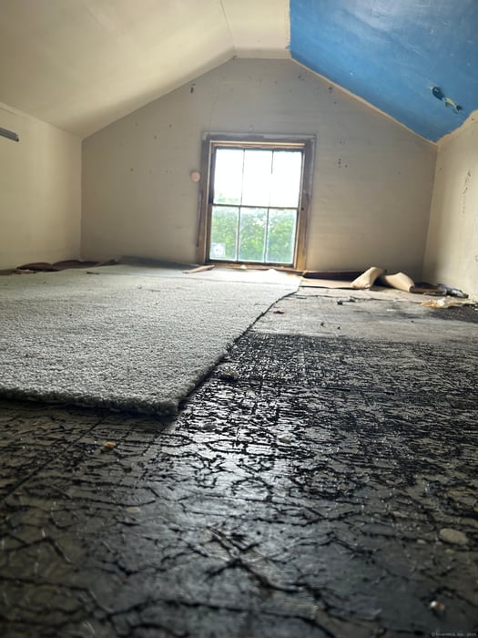 36 Boswell Avenue Photo 21