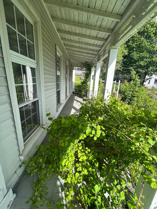 36 Boswell Avenue Photo 24