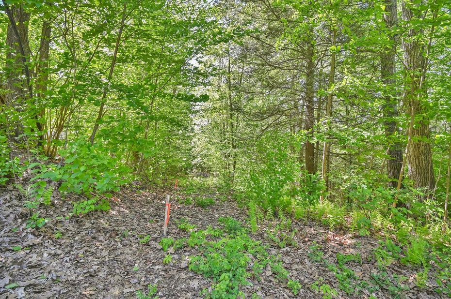 Lot 6 Ratlum Mountain Road Photo 18