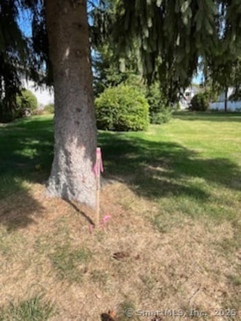 20 North Road Photo 4