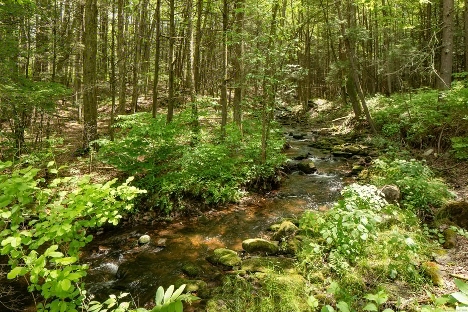 37 Lower Barrack Road Photo 2