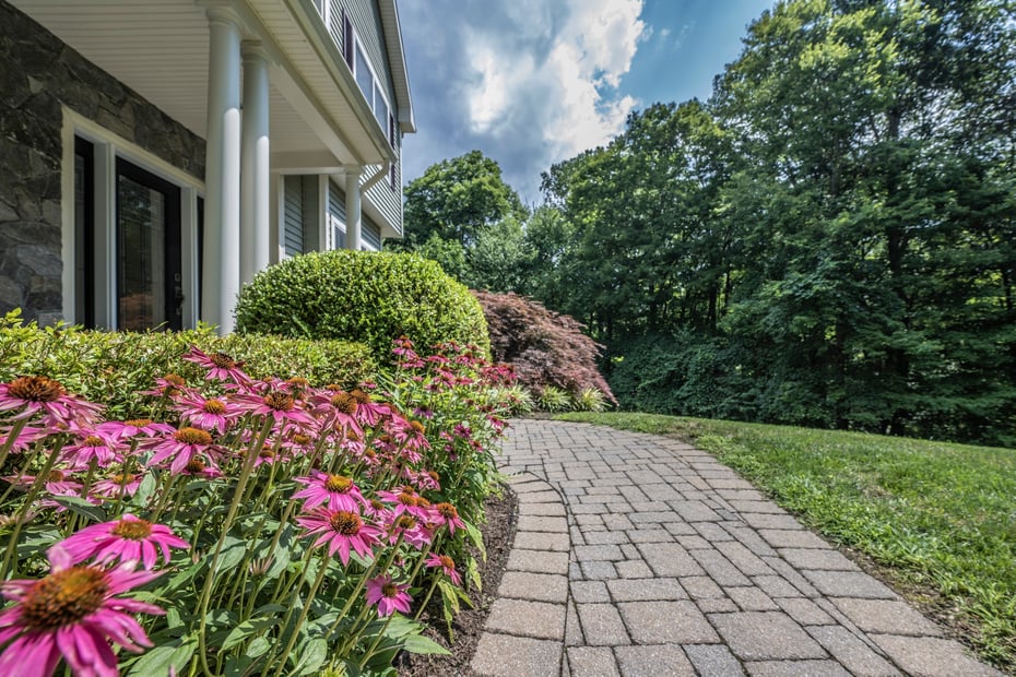 16 Devonshire Lane Photo 2